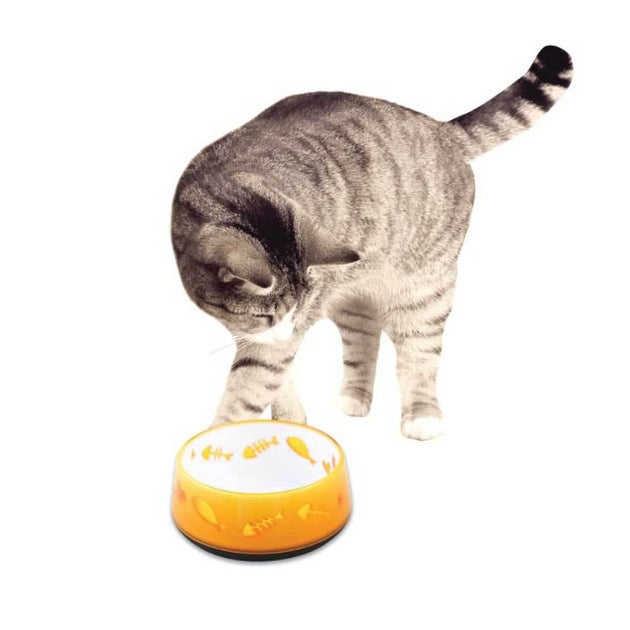 Buy 300ml Cat Bowl Orange Love - AFP Kitten Pet Food Water Feeding Anti Slip Dish discounted | Products On Sale Australia