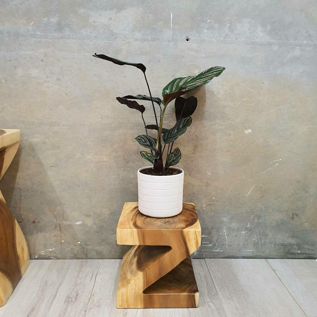 Buy Z Shape 25cm Plant Stand/Stool/Side Table/Corner Table Raintree Wood discounted | Products On Sale Australia