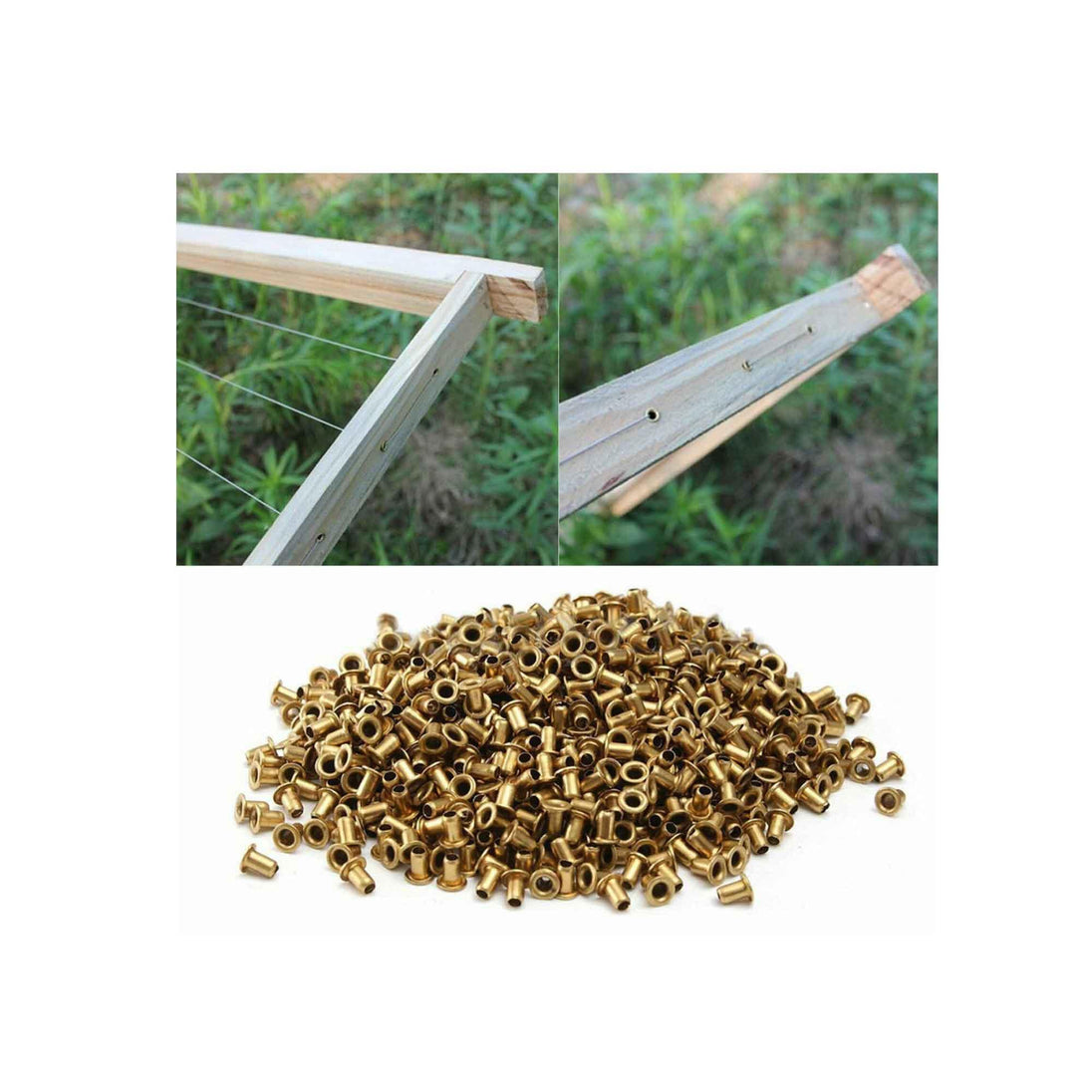 Buy 1000 Bee Frame Eyelets Brass Fittings Bee Hive Beehive Beekeeping Beekeeper Tool discounted | Products On Sale Australia