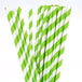 Buy 1000 Bulk Wholesale Pack Green White Drinking Straws Biodegradable Eco Paper Birthday Party Event Bistro Bar Cafe Take Away discounted | Products On Sale Australia