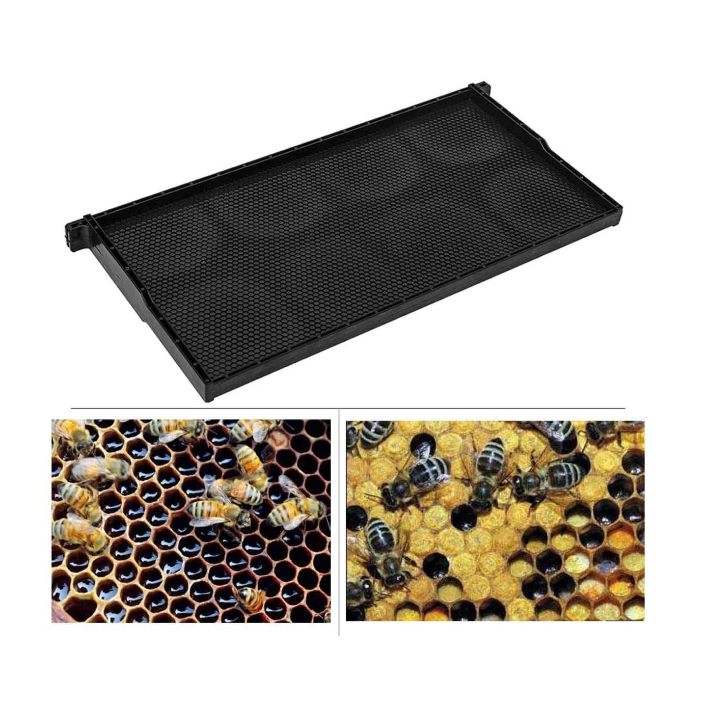 Buy 10x Beehive Plastic Frames Foundations Langstroth Bee Hive Deep Box Beekeeping discounted | Products On Sale Australia