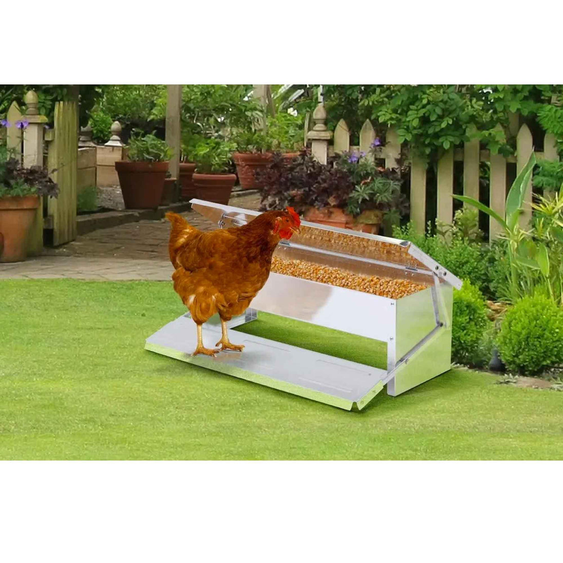 Buy 11L Automatic Chook Chicken Feeder Poultry Auto Treadle Aluminium Metal Feeders discounted | Products On Sale Australia