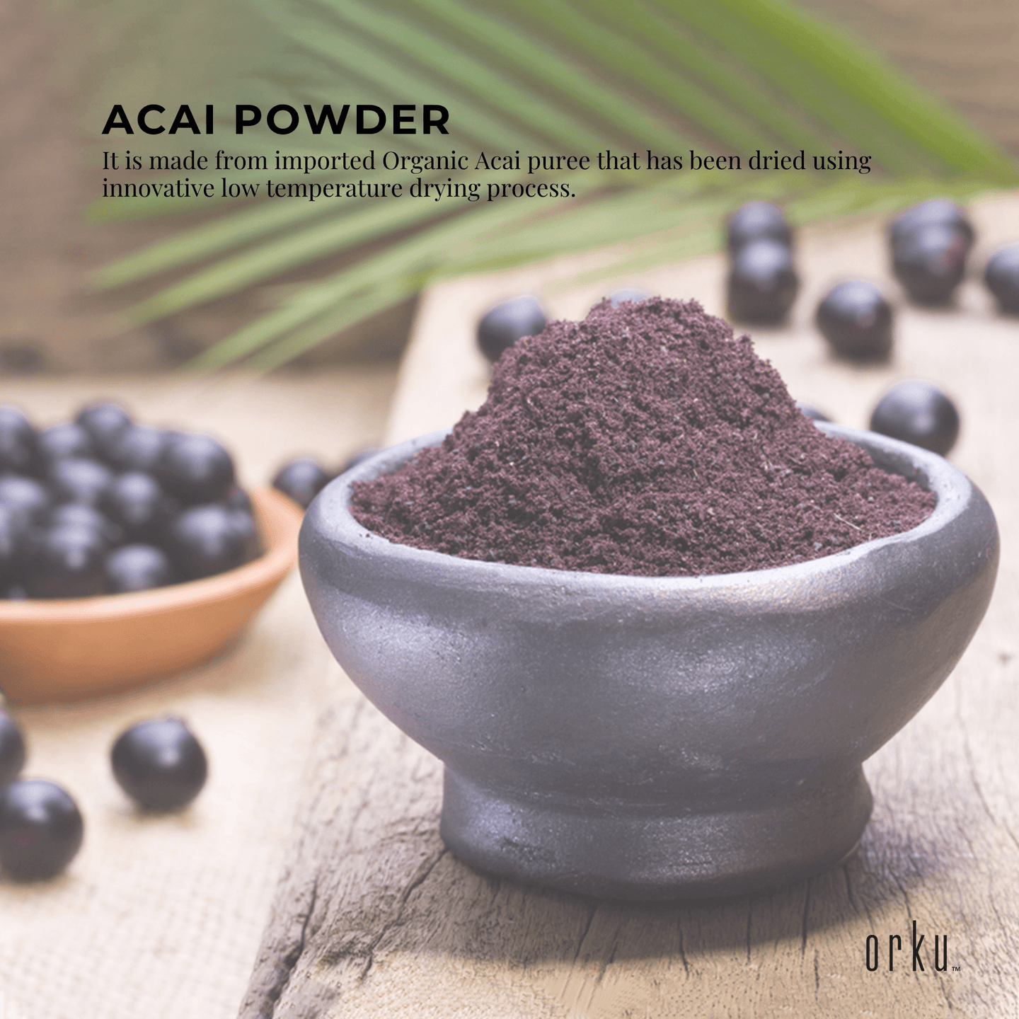 Buy 2.5kg Acai Powder Bucket 100% Organic - Pure Superfood Amazon Berries discounted | Products On Sale Australia