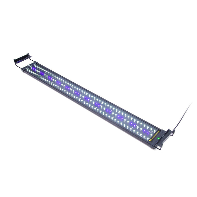 Buy 27W Aquarium Blue White LED Light for Tank 95-115cm discounted | Products On Sale Australia