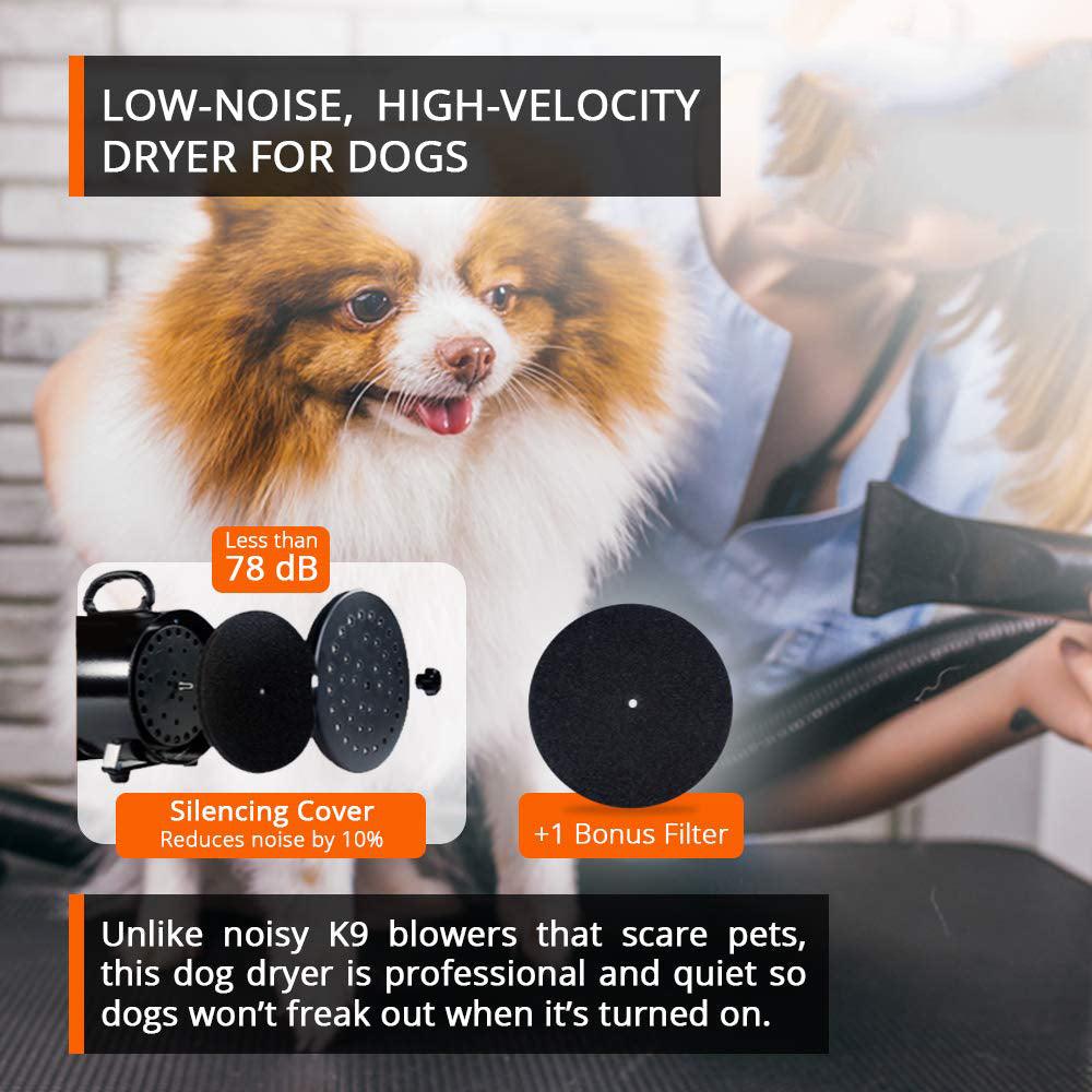 Buy 2800W Dog Dryer High Velocity Pet Dog Pet Blow Dryer Adjustable Speed 4 Nozzles discounted | Products On Sale Australia