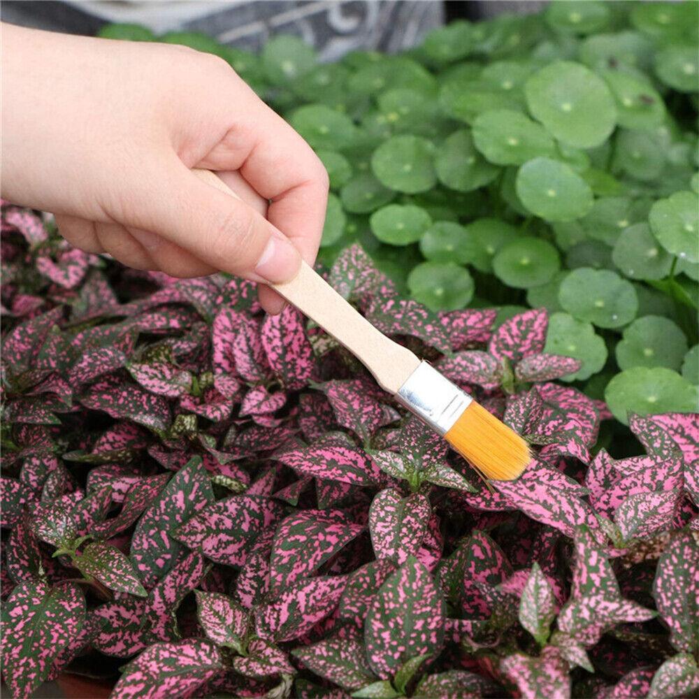 Buy 30X Mini Garden Hand Tools Transplanting Succulent Plant Gardening Tool Rake Set discounted | Products On Sale Australia