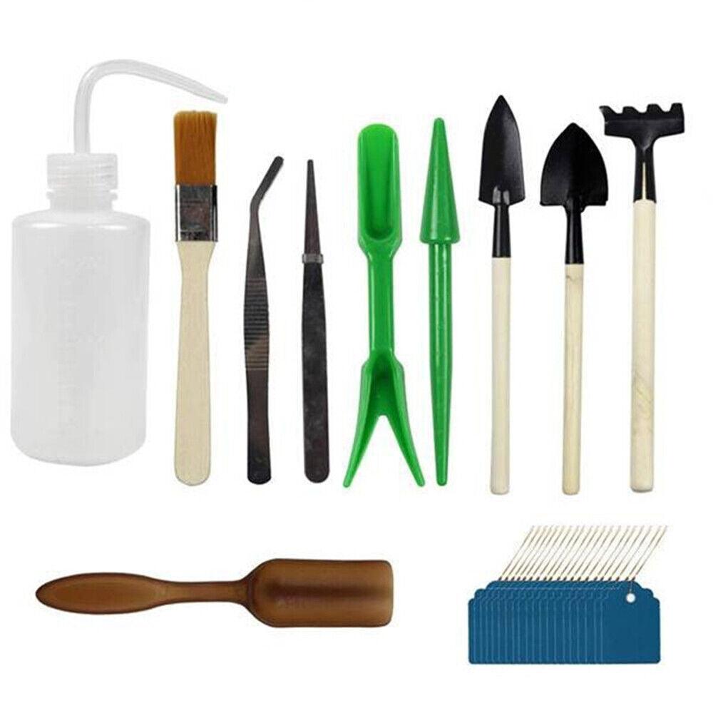 Buy 30X Mini Garden Hand Tools Transplanting Succulent Plant Gardening Tool Rake Set discounted | Products On Sale Australia