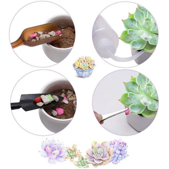 Buy 30X Mini Garden Hand Tools Transplanting Succulent Plant Gardening Tool Rake Set discounted | Products On Sale Australia