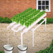 Buy 36 Sites Hydroponic Grow Tool Kits Vegetable Garden System 220V Water Pump discounted | Products On Sale Australia