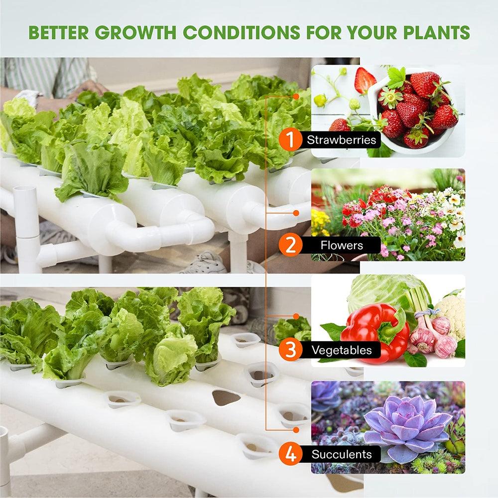 Buy 36 Sites Hydroponic Grow Tool Kits Vegetable Garden System 220V Water Pump discounted | Products On Sale Australia