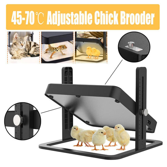 Buy 40 degrees celsius to 70 degrees celsius Adjustable Chick Brooder Heating Plate Chicken Coop Duck Poultry Brooder discounted | Products On Sale Australia