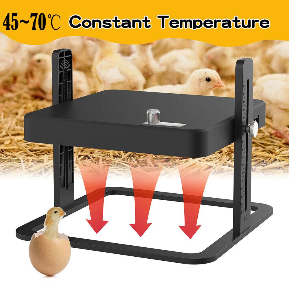 Buy 40 degrees celsius to 70 degrees celsius Adjustable Chick Brooder Heating Plate Chicken Coop Duck Poultry Brooder discounted | Products On Sale Australia