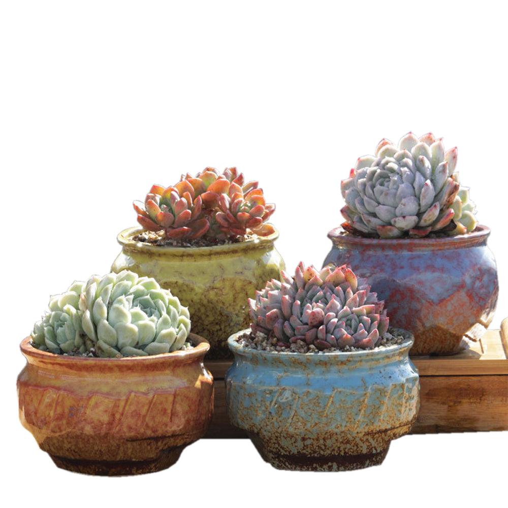 Buy 4/5/6 Pots Set Ceramic Clay Pottery Pots Succulent Flower Planter Draining Hole(Style 01# 4 Pots Set) discounted | Products On Sale Australia