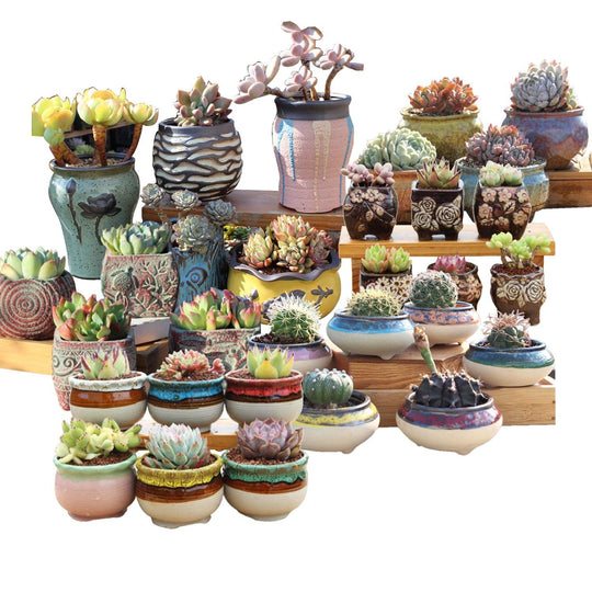 Buy 4/5/6 Pots Set Ceramic Clay Pottery Pots Succulent Flower Planter Draining Hole(Style 01# 4 Pots Set) discounted | Products On Sale Australia