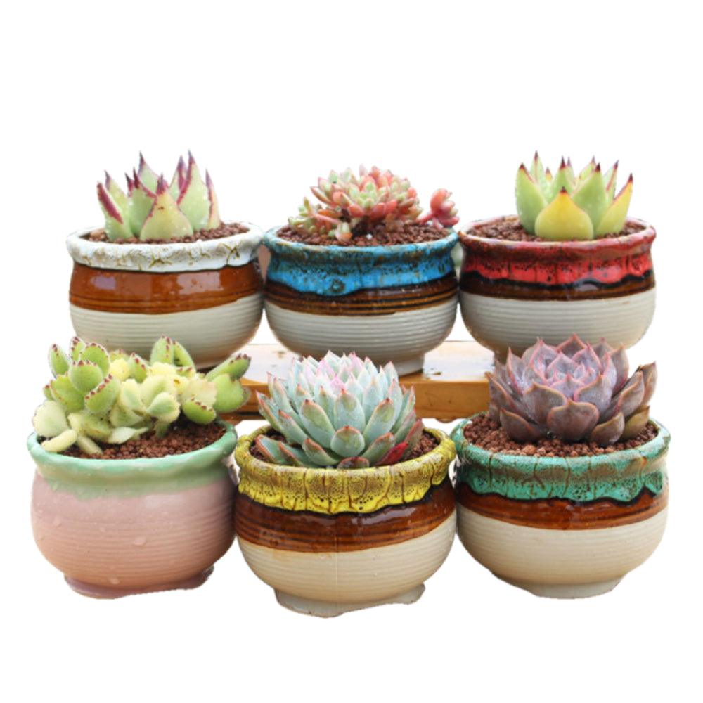 Buy 4/5/6 Pots Set Ceramic Clay Pottery Pots Succulent Flower Planter Draining Hole(Style 05# 6 Pots Set) discounted | Products On Sale Australia