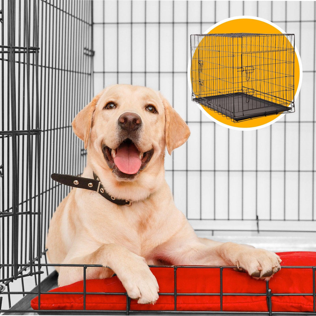 Buy 4Paws Dog Cage Pet Crate Cat Puppy Metal Cage ABS Tray Foldable Portable Black - 30" - Black discounted | Products On Sale Australia