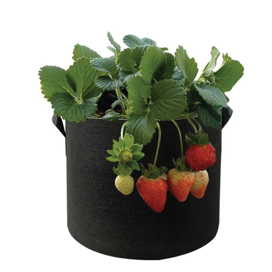 Buy 6 Pck 10 Gallon Fabric Flower Pots 38L Garden Planter Bags Black Felt Root Pouch discounted | Products On Sale Australia