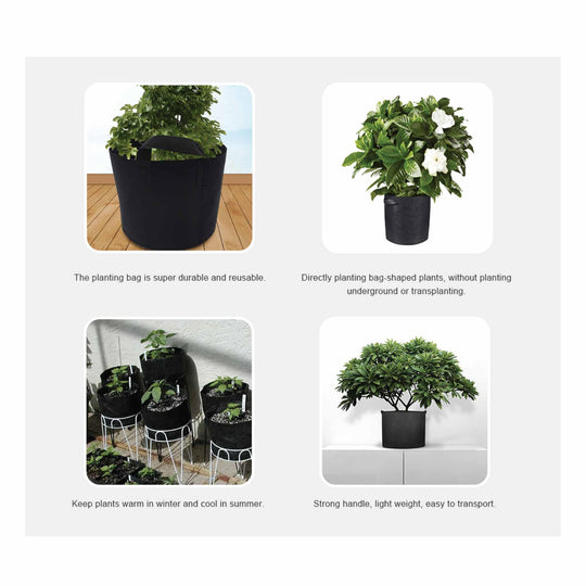 Buy 6 Pck 10 Gallon Fabric Flower Pots 38L Garden Planter Bags Black Felt Root Pouch discounted | Products On Sale Australia