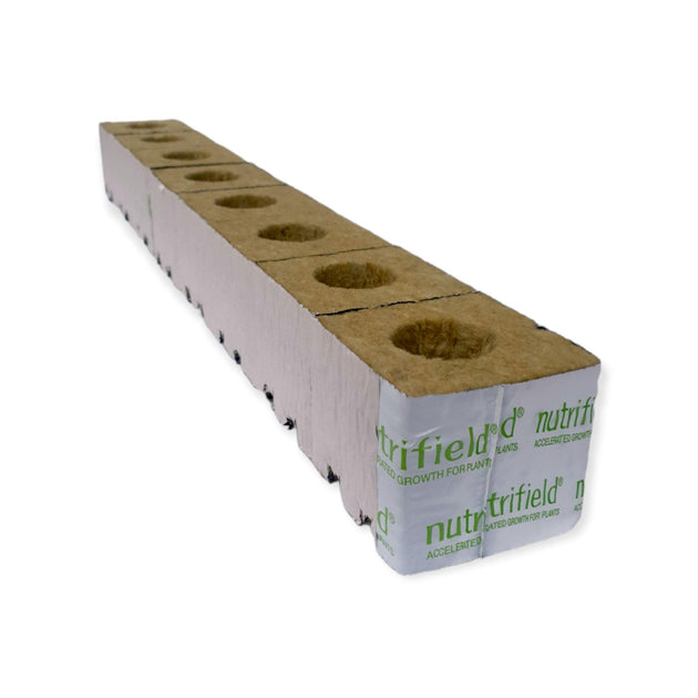 Buy 75x75x65mm Stonewool 8pk - Planting Propagation Growing Assist Block Nutrifield discounted | Products On Sale Australia