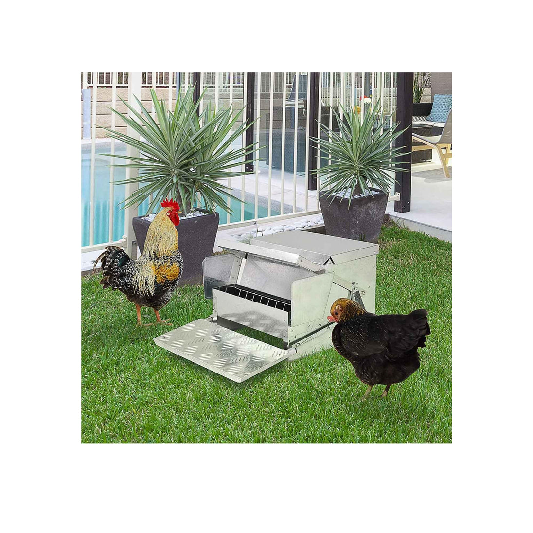 Buy 9kg Automatic Chook Chicken Feeder Poultry Auto Treadle Aluminium Metal Feeders discounted | Products On Sale Australia