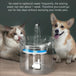 Buy Electric Pet Water Fountain Cat Dog Automatic Sensor Drinking Dispenser Filter discounted | Products On Sale Australia