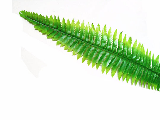 Buy Artificial Boston Hanging Fern 102cm discounted | Products On Sale Australia