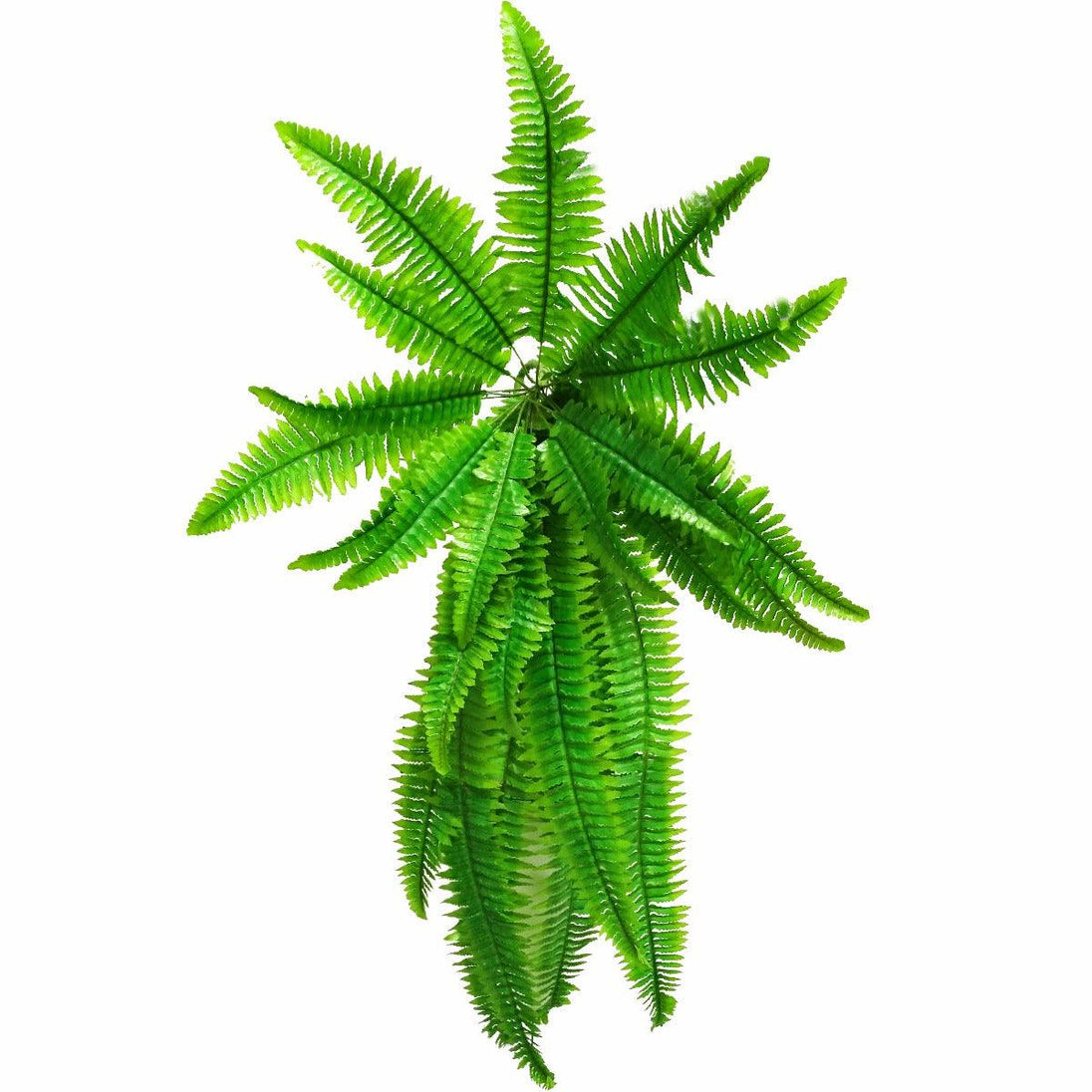 Buy Artificial Boston Hanging Fern 102cm discounted | Products On Sale Australia