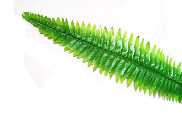 Artificial Boston Hanging Fern 102cm Products On Sale Australia | Home & Garden > Artificial Plants Category