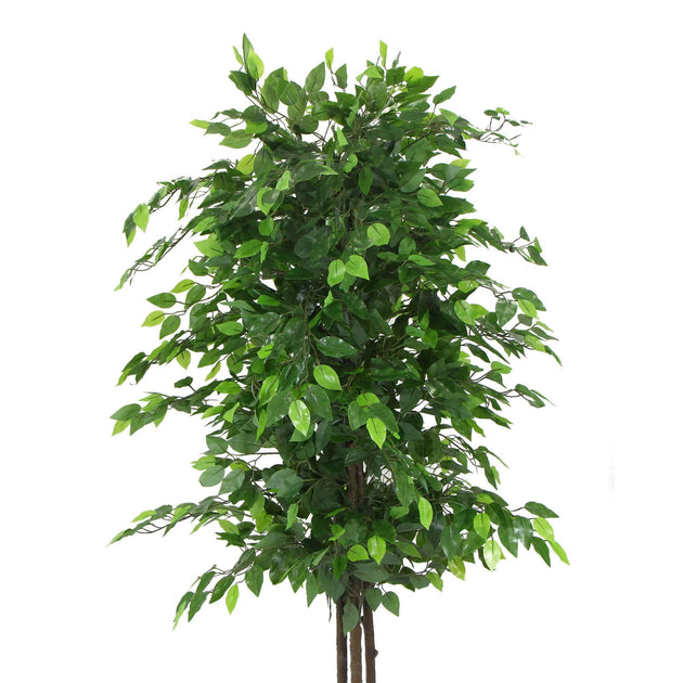 Artificial Ficus Tree 180cm Nearly Natural UV Resistant Products On Sale Australia | Home & Garden > Artificial Plants Category