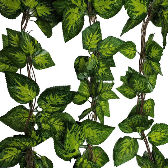 Buy Artificial Pothos / Ivy Hanging Vines 260cm Each (5 pack) discounted | Products On Sale Australia