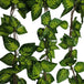 Buy Artificial Pothos / Ivy Hanging Vines 260cm Each (5 pack) discounted | Products On Sale Australia