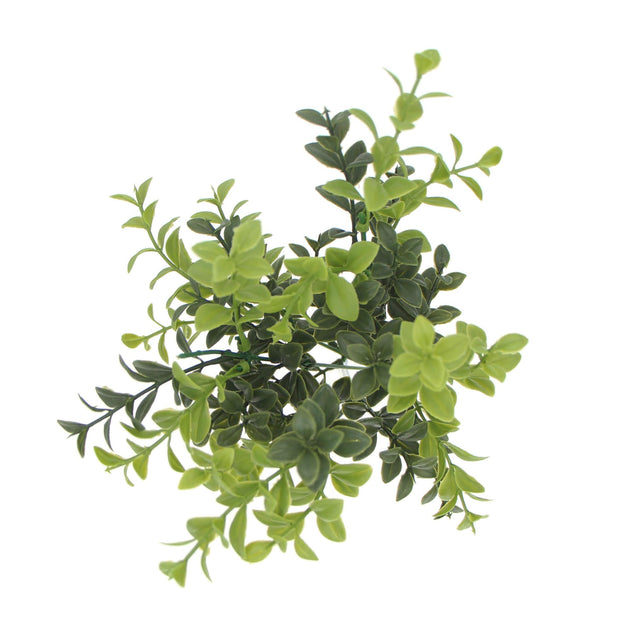 Buy Artificial Rounded Boxwood Stem UV 30cm discounted | Products On Sale Australia