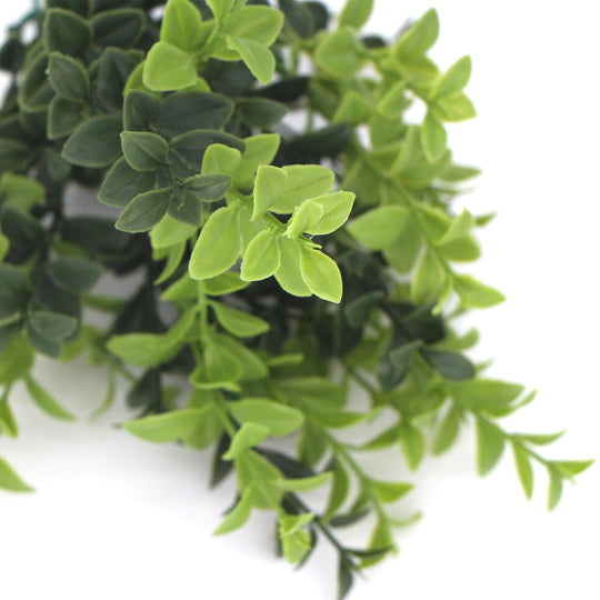 Buy Artificial Rounded Boxwood Stem UV 30cm discounted | Products On Sale Australia