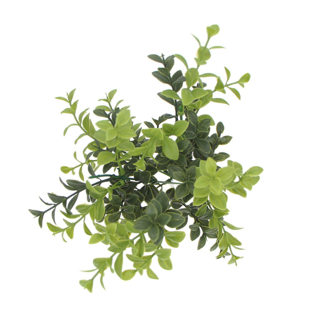 Artificial Rounded Boxwood Stem UV 30cm Products On Sale Australia | Home & Garden > Artificial Plants Category
