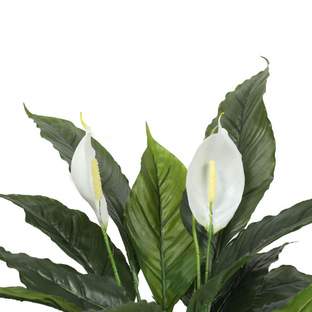 Buy Artificial Spathiphyllum Peace Lily Plant with White Flowers 60cm discounted | Products On Sale Australia