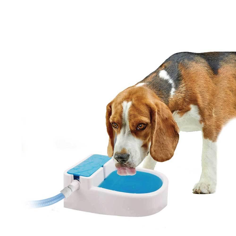 Buy Auto Filling Dog Drinking Water Fountain - Outdoor Automatic Pet Drinking Bowl discounted | Products On Sale Australia