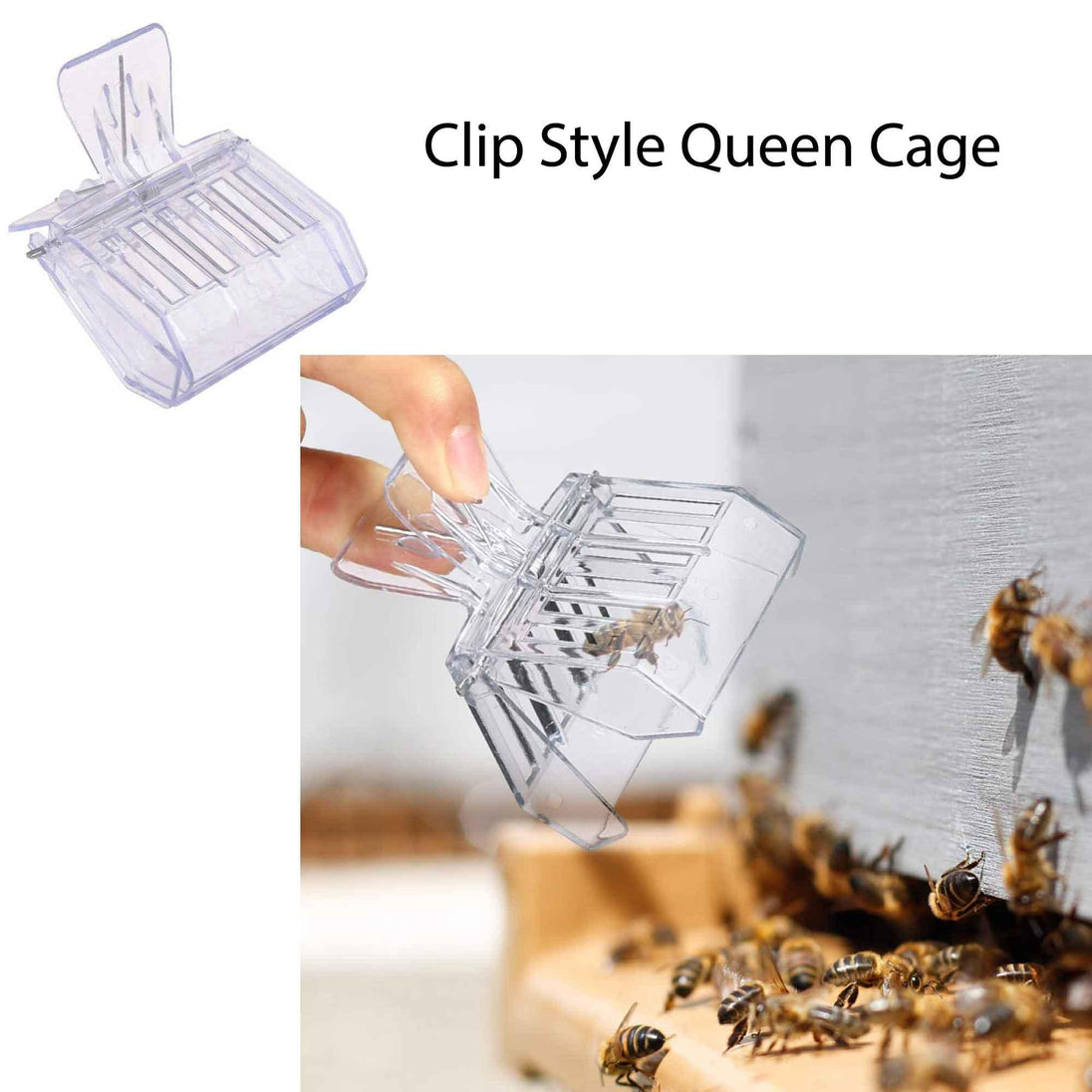 Buy Beekeeping Tools Kit 10 Pcs - Honey Bee Hive Beekeeper Starter Pack discounted | Products On Sale Australia