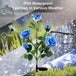 Buy Blue Bulk Solar Garden Lights 75cm Long Rose Flowers Yard Lamp Xmas Halloween Deco AU discounted | Products On Sale Australia