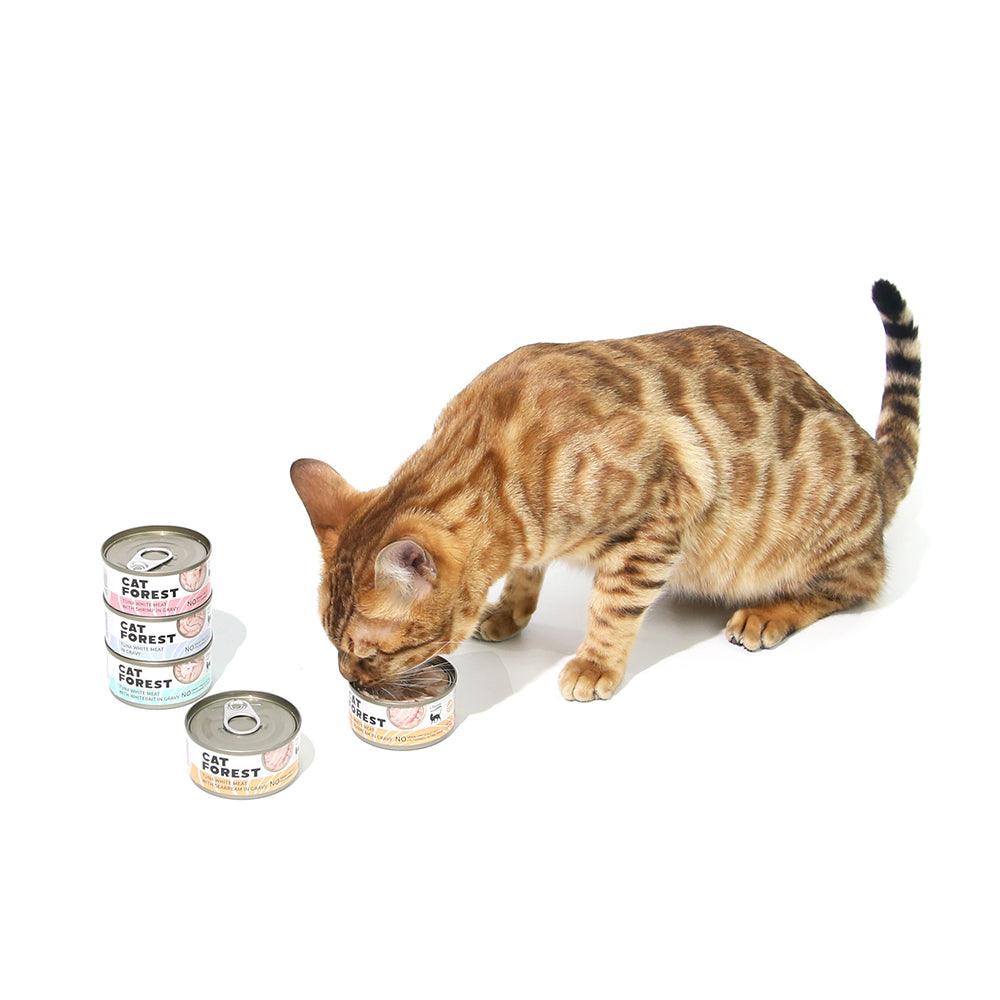 Buy CAT FOREST Classic Tuna White Meat In Gravy Cat Canned Food 85G X 24 discounted | Products On Sale Australia