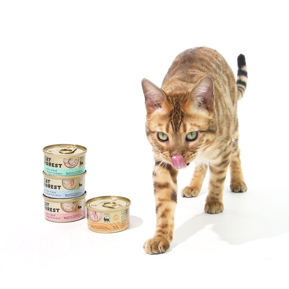 Buy CAT FOREST Premium Tuna White Meat With Chicken In Jelly Cat Canned Food 85G X 24 discounted | Products On Sale Australia