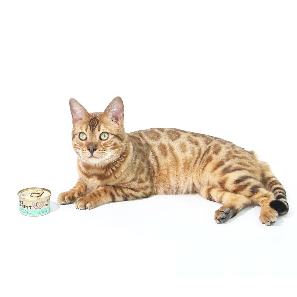 Buy CAT FOREST Premium Tuna White Meat With Mussel In Gravy Cat Canned Food 85G X 24 discounted | Products On Sale Australia