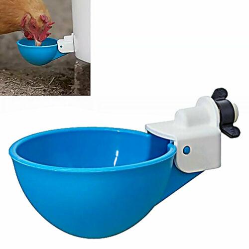 Buy Cheeky Chooka DIY Poultry Drinker Cups 4pk discounted | Products On Sale Australia