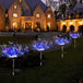 Buy Colourful Fireworks 120 LED Fairy String Lights Starburst Solar Xmas Garden Night Lamp Hot NEW discounted | Products On Sale Australia