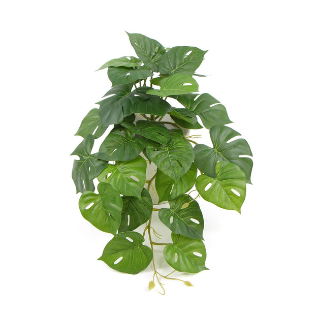 Decorative Ceramic Bowl Potted Artificial Monstera Plant 30cm Products On Sale Australia | Home & Garden > Artificial Plants Category