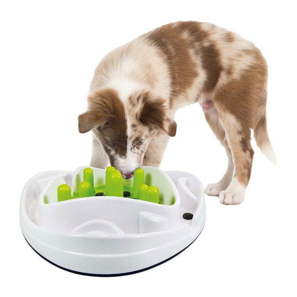 Buy Dog Bowl Food Maze - Interactive Treat Feeder + Water Dish All For Paws Pet discounted | Products On Sale Australia