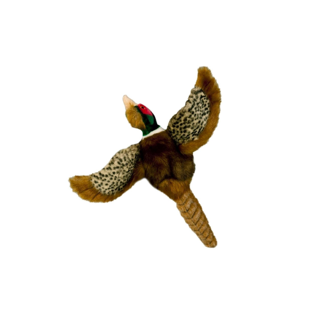 Buy Dog Plush Toy - Pheasant Squeaky Interactive Small Life Like Bird - Puppy Play discounted | Products On Sale Australia