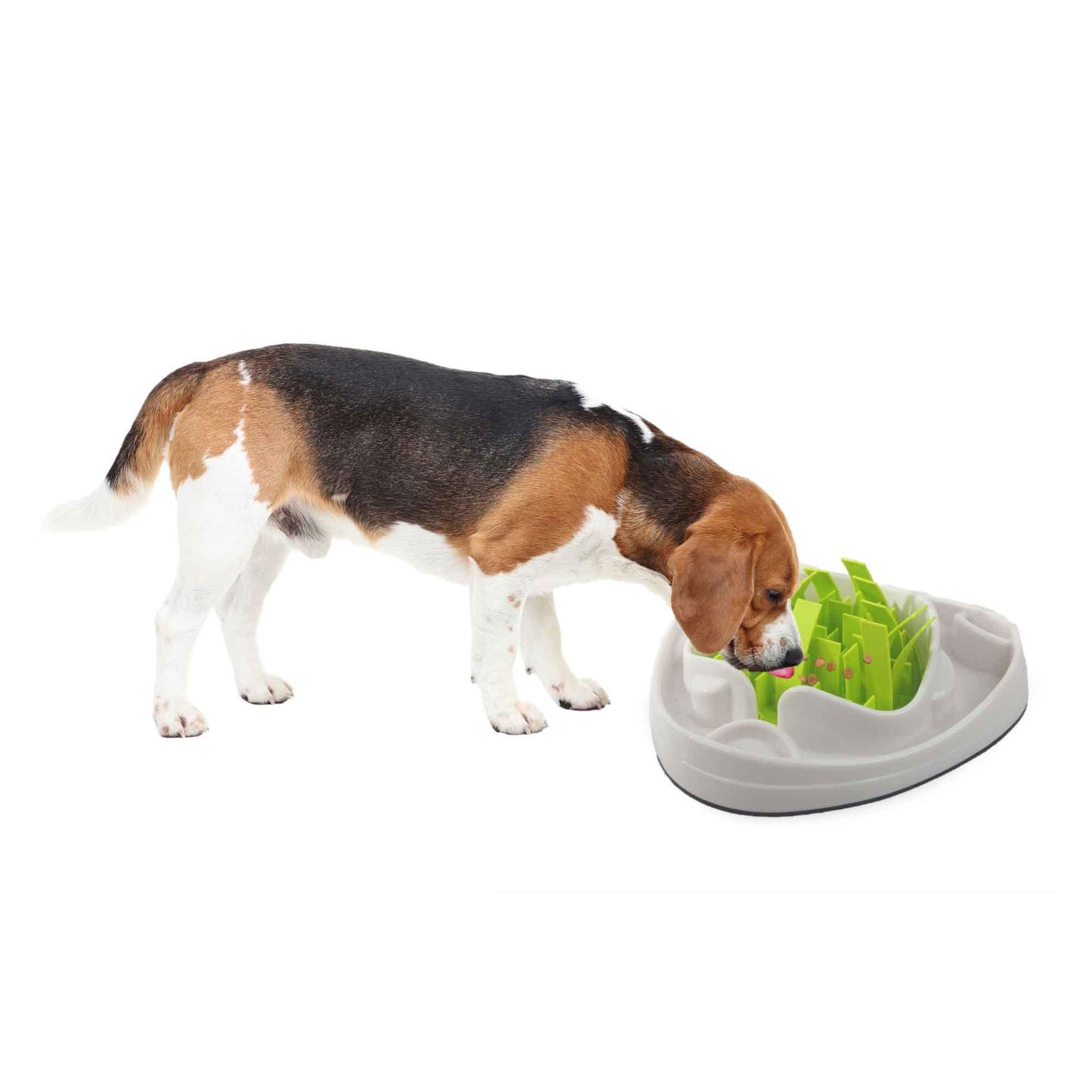 Buy Dog Slow Feeder Bowl - Interactive Puzzle Anti Gulp Puppy Eating Maze AFP Pet discounted | Products On Sale Australia