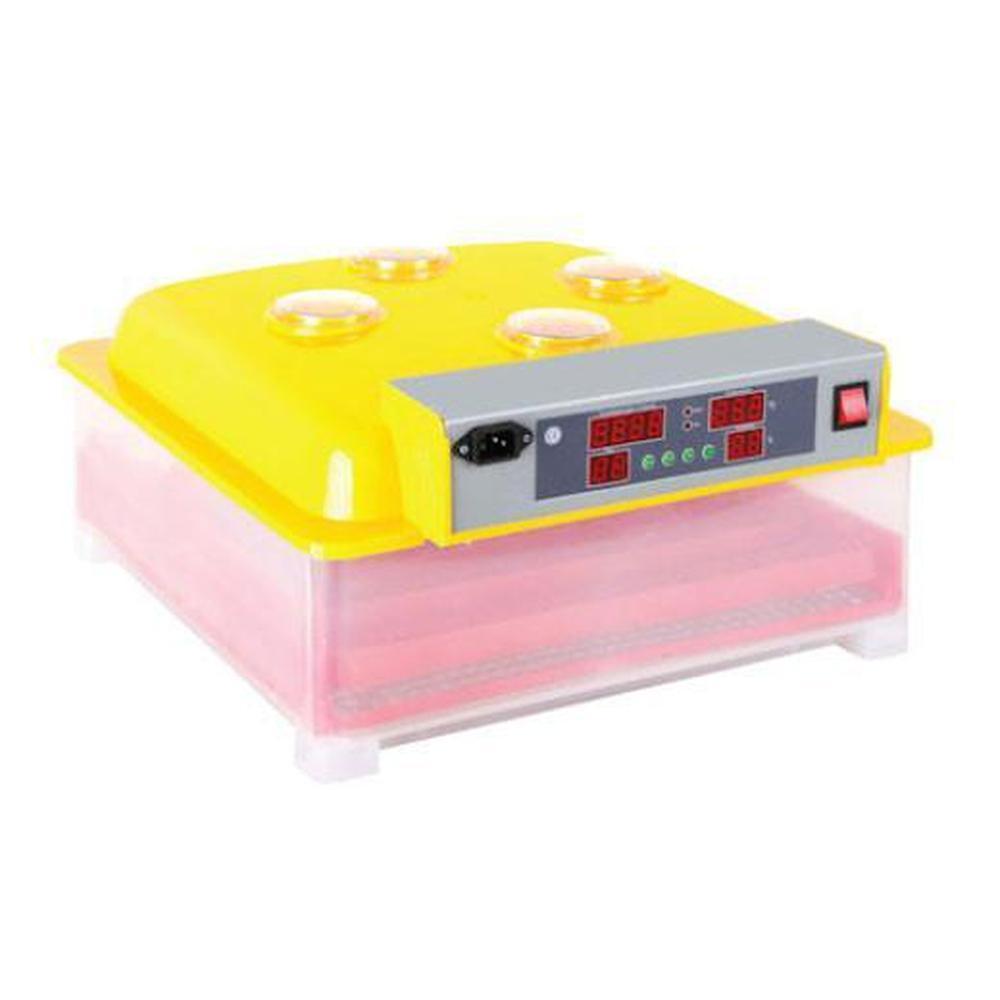 Buy Electric 36 Egg Incubator - Poultry Chicken Duck Quail Turkey Birds discounted | Products On Sale Australia