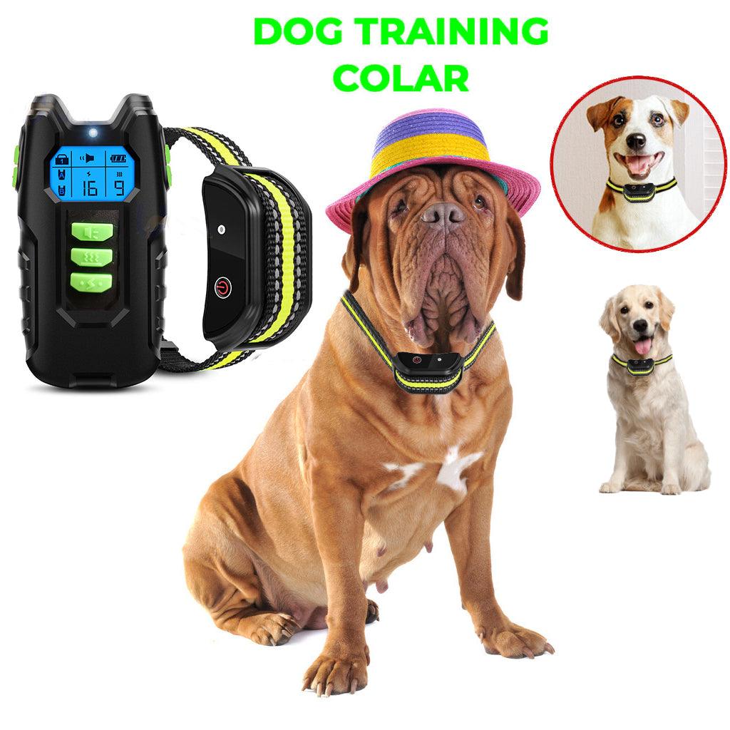 Buy Electric Pet Dog Training Anti Bark Collar Sound Vibrate Auto Rechargeable discounted | Products On Sale Australia