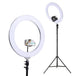 Buy Embellir Ring Light 19" Tripod Stand Silver discounted | Products On Sale Australia